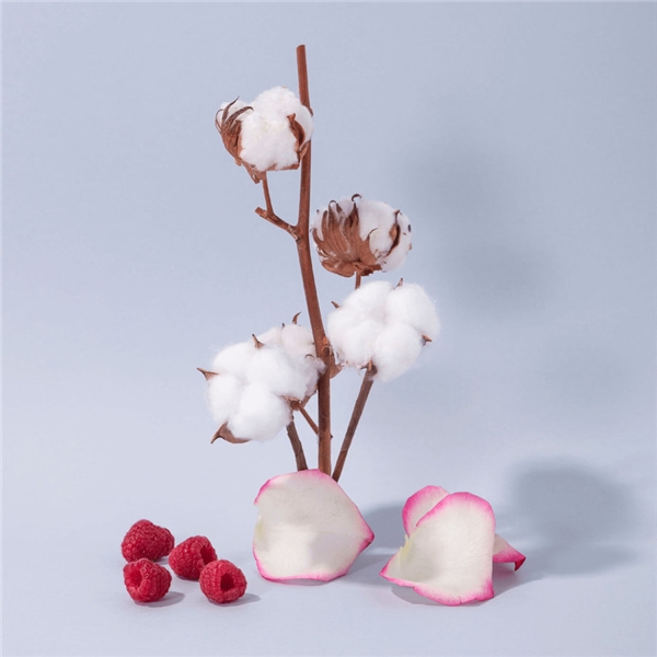 Hand Cream Cotton Flower (Bild 2 von 3)
