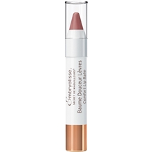 Embryolisse Comfort Lip Balm